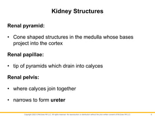 Copyright 2022 © McGraw Hill LLC. All rights reserved. No reproduction or distribution without the prior written consent of McGraw Hill LLC.
Kidney Structures
Renal pyramid:
• Cone shaped structures in the medulla whose bases
project into the cortex
Renal papillae:
• tip of pyramids which drain into calyces
Renal pelvis:
• where calyces join together
• narrows to form ureter
6
 