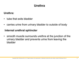 Copyright 2022 © McGraw Hill LLC. All rights reserved. No reproduction or distribution without the prior written consent of McGraw Hill LLC.
Urethra
Urethra:
• tube that exits bladder
• carries urine from urinary bladder to outside of body
Internal urethral sphincter
• smooth muscle surrounds urethra at the junction of the
urinary bladder and prevents urine from leaving the
bladder
8
 