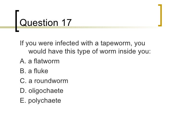 chapter 18 questions Charlotte's web - chapter 18: the cool of the evening & chapter 19: the egg sac test your knowledge of this classic tale by eb white useful links. chapter 18 questions Charlotte's web - chapter 18: the cool of the evening & chapter 19: the egg sac test your knowledge of this classic tale by eb white useful links.