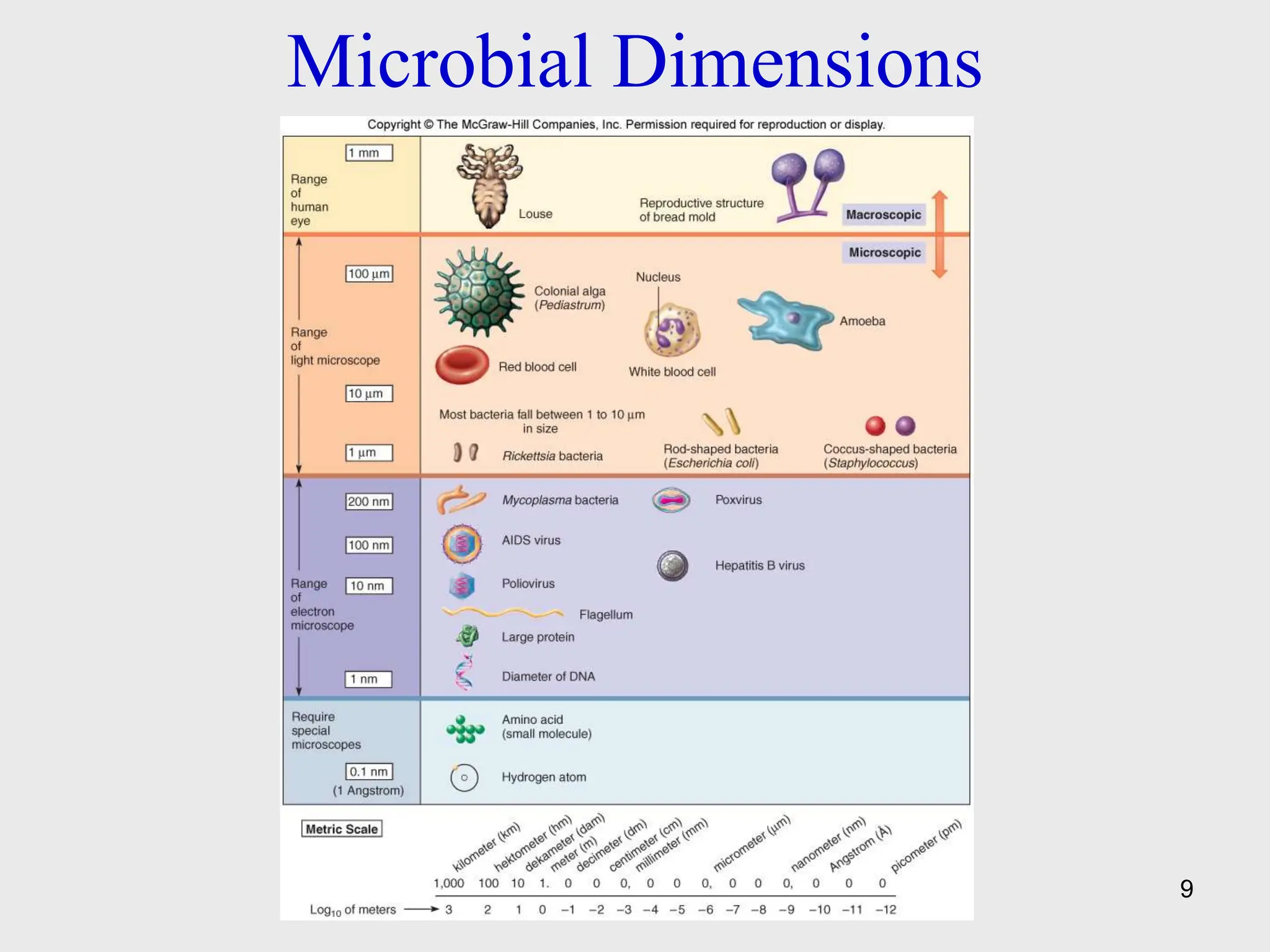 chapter-1a_Introduction-to-Microbiology.pptx