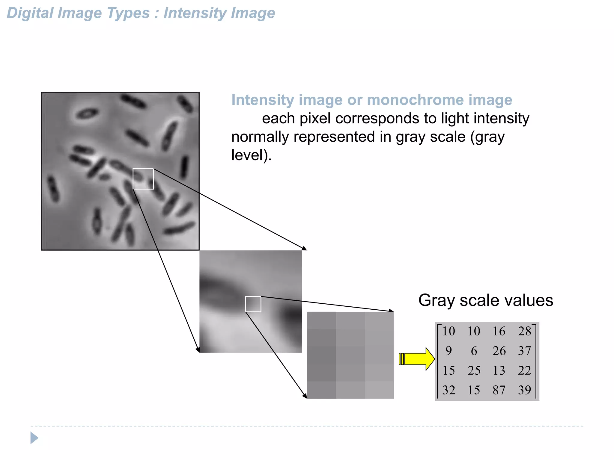 Digital Image Types : Intensity Image
Intensity image or monochrome image
each pixel corresponds to light intensity
normally represented in gray scale (gray
level).












39871532
22132515
372669
28161010
Gray scale values
 