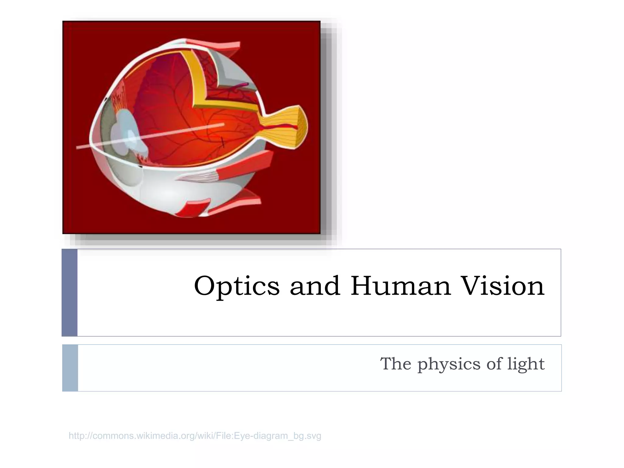 Optics and Human Vision
The physics of light
http://commons.wikimedia.org/wiki/File:Eye-diagram_bg.svg
 