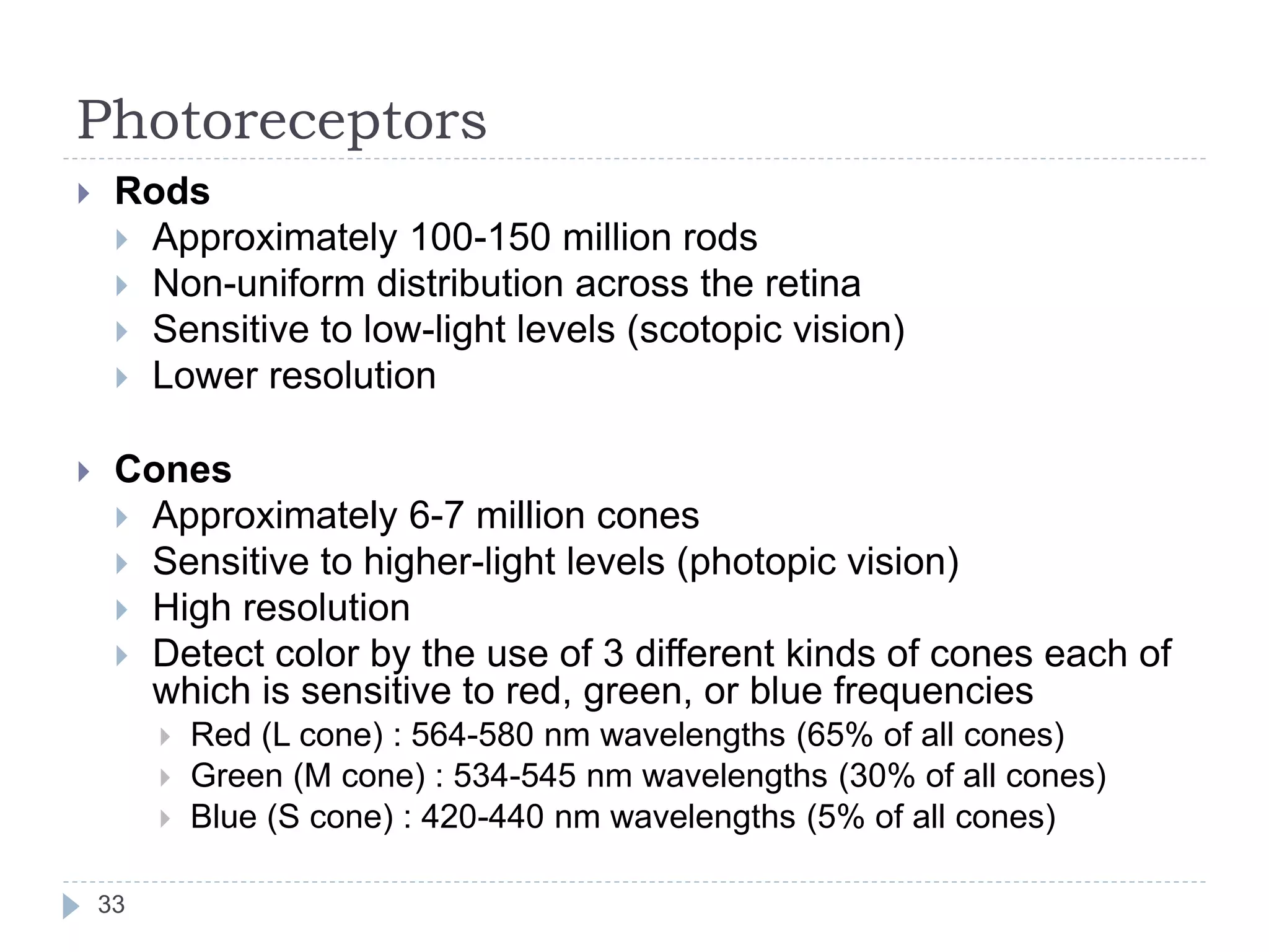 Photoreceptors
 Rods
 Approximately 100-150 million rods
 Non-uniform distribution across the retina
 Sensitive to low-light levels (scotopic vision)
 Lower resolution
 Cones
 Approximately 6-7 million cones
 Sensitive to higher-light levels (photopic vision)
 High resolution
 Detect color by the use of 3 different kinds of cones each of
which is sensitive to red, green, or blue frequencies
 Red (L cone) : 564-580 nm wavelengths (65% of all cones)
 Green (M cone) : 534-545 nm wavelengths (30% of all cones)
 Blue (S cone) : 420-440 nm wavelengths (5% of all cones)
33
 