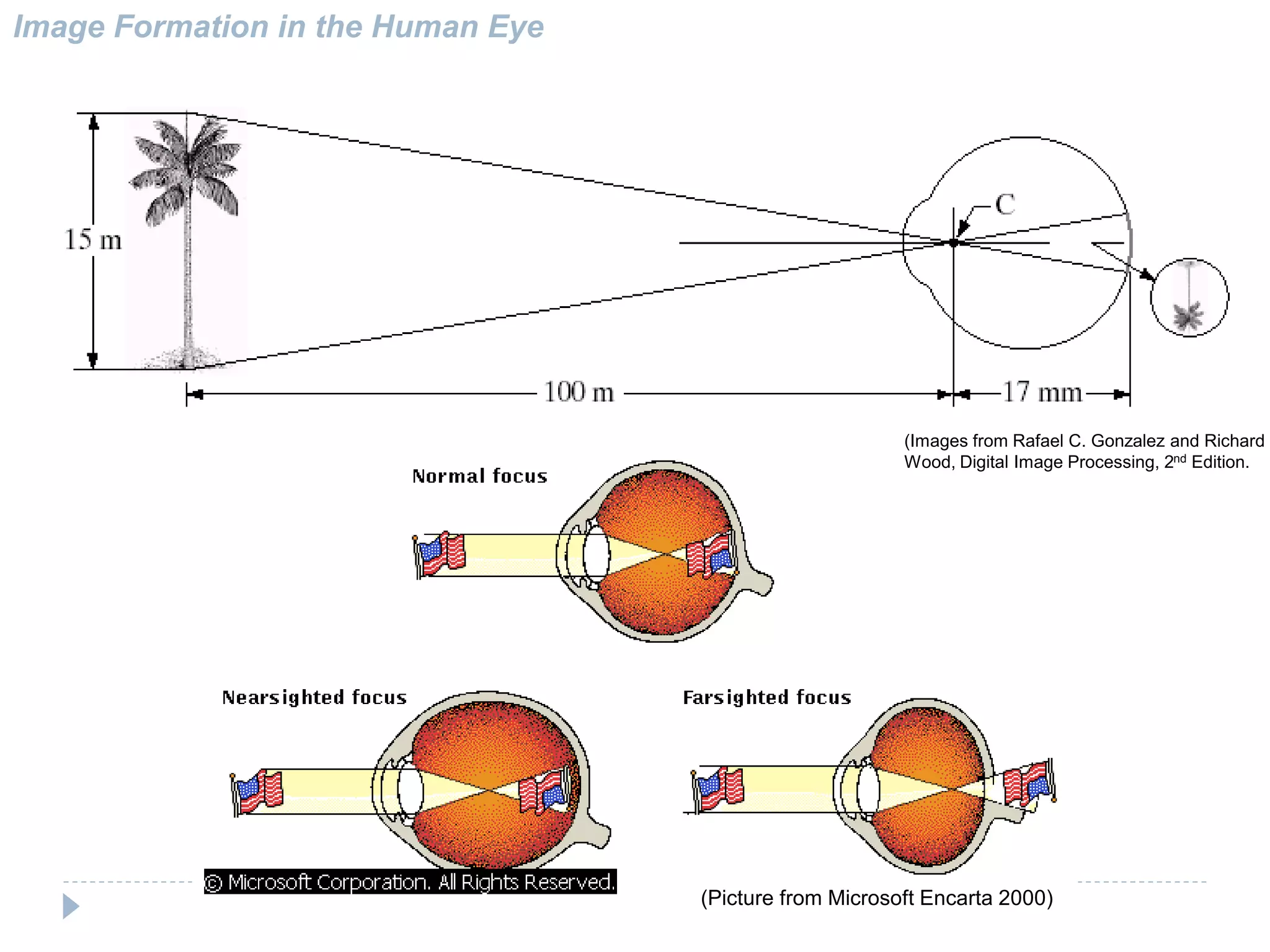 Image Formation in the Human Eye
(Picture from Microsoft Encarta 2000)
(Images from Rafael C. Gonzalez and Richard E
Wood, Digital Image Processing, 2nd Edition.
 