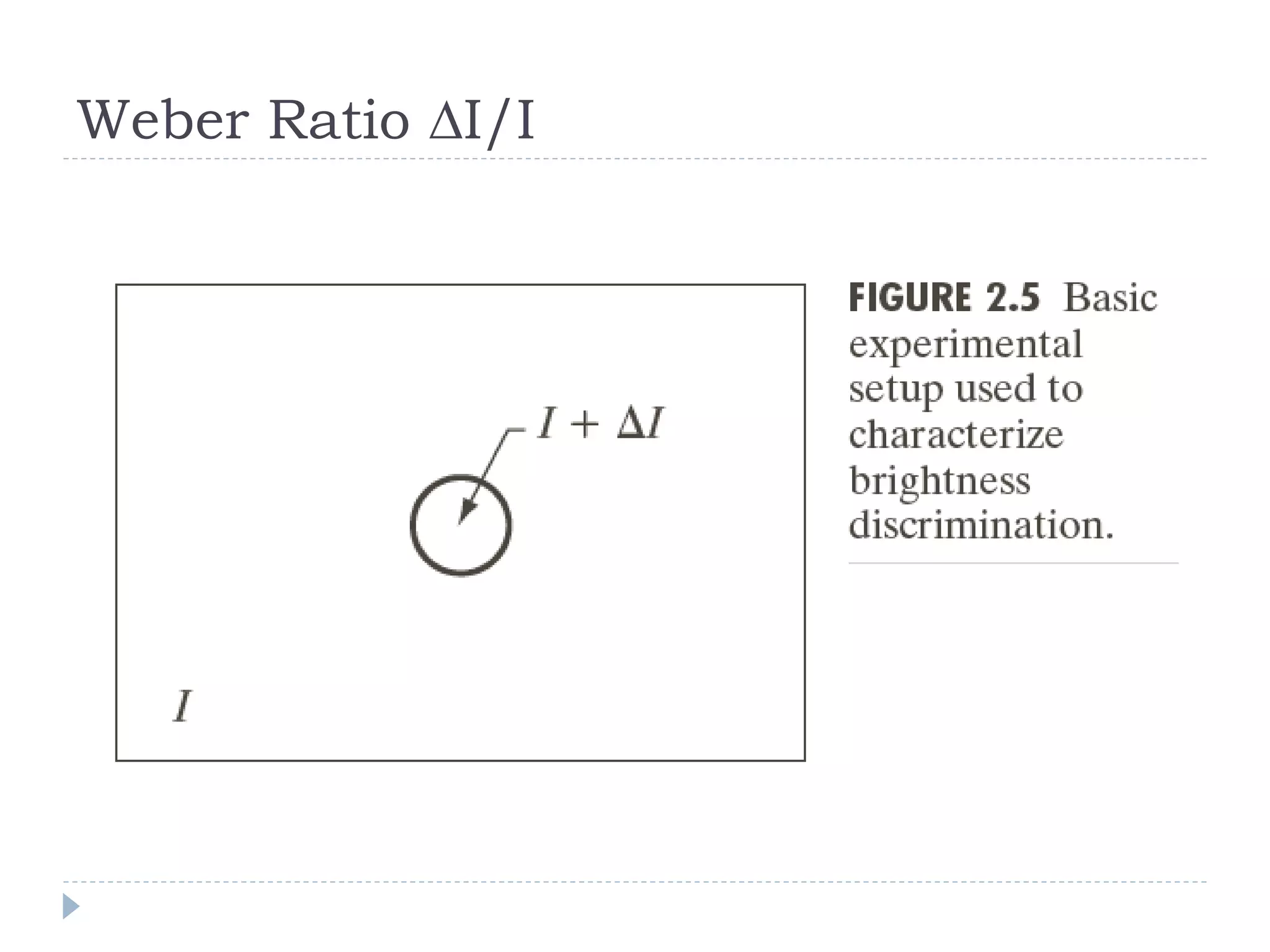 Weber Ratio ∆I/I
 