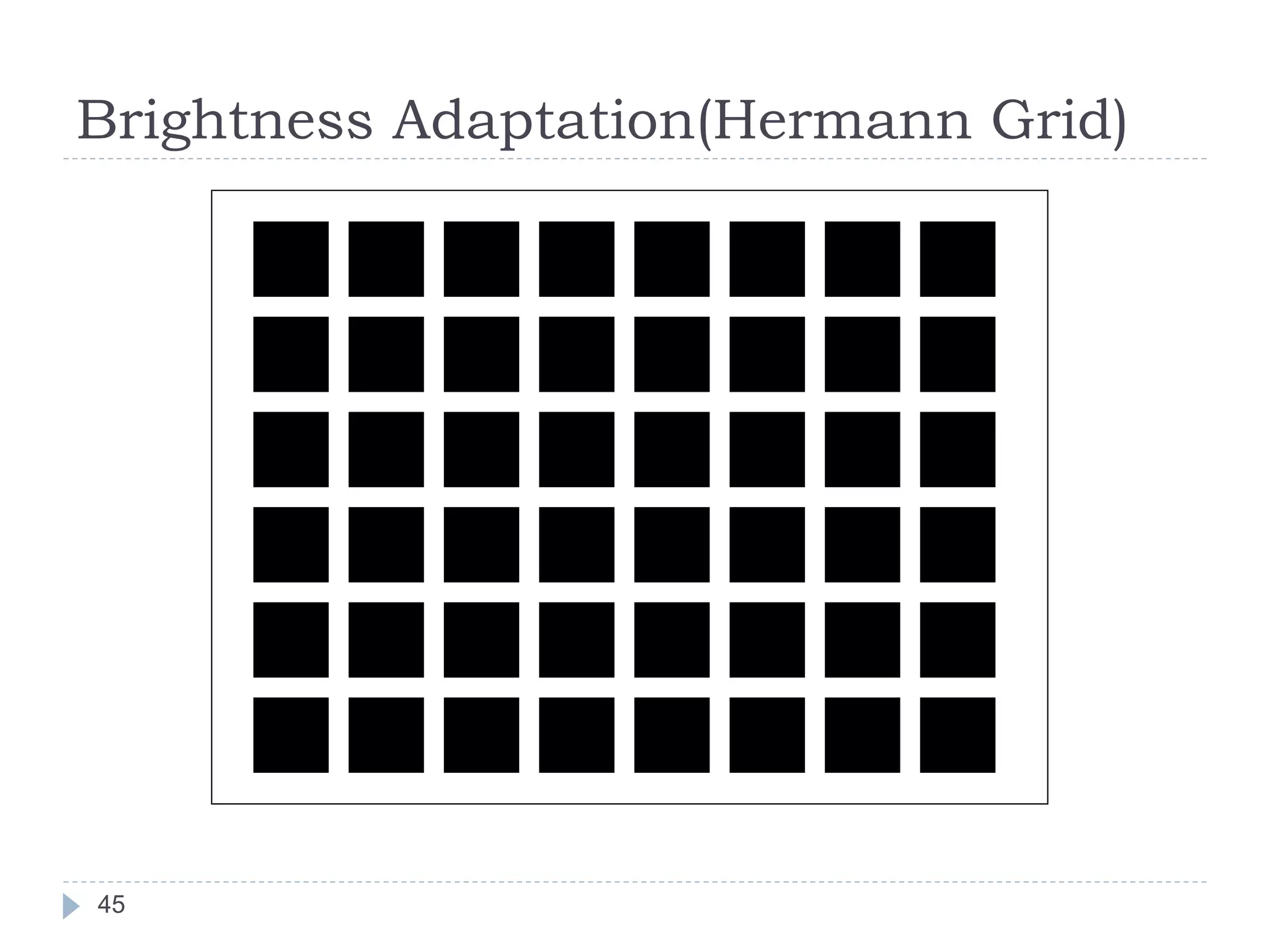Brightness Adaptation(Hermann Grid)
45
 