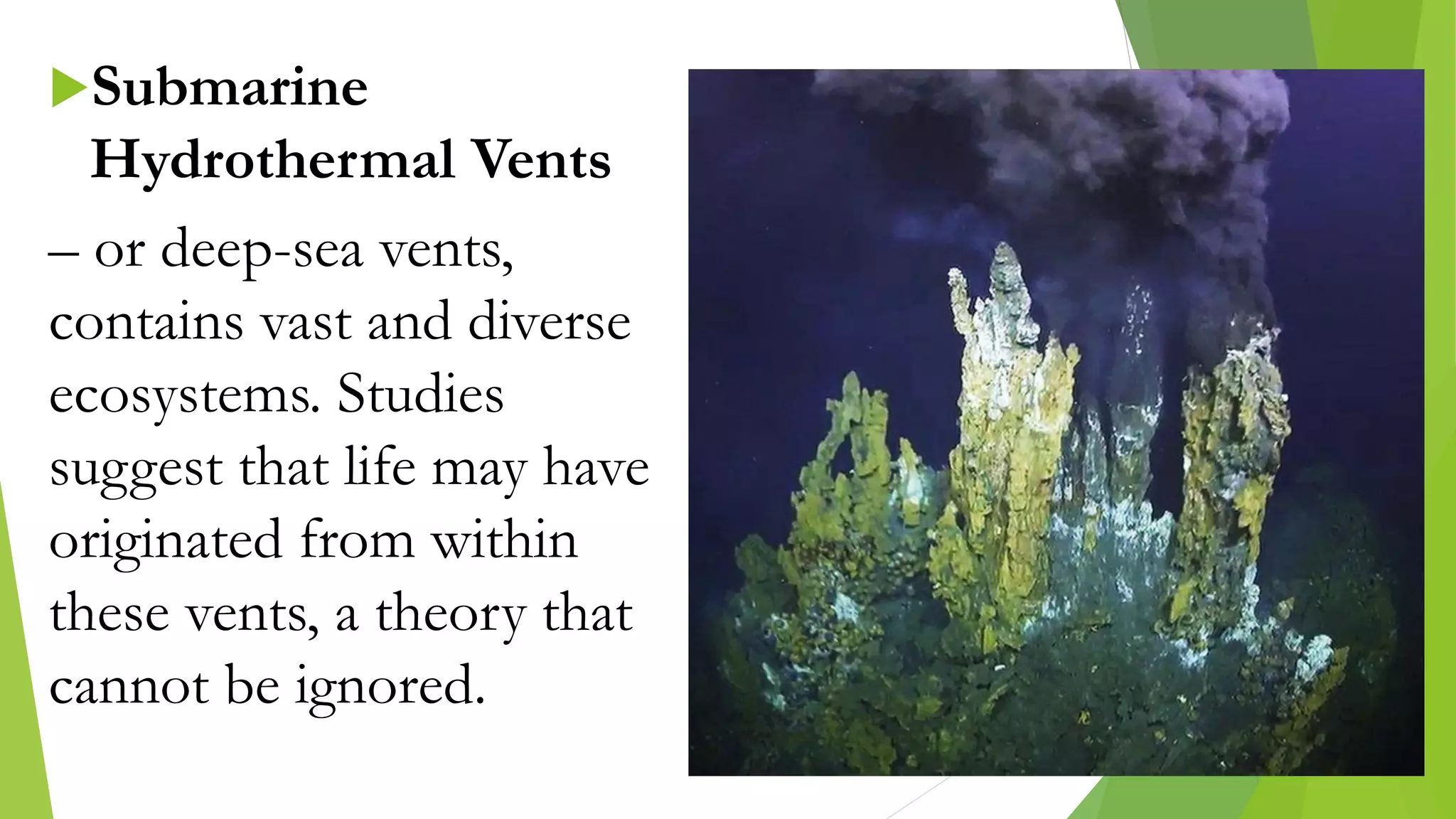 Submarine
Hydrothermal Vents
– or deep-sea vents,
contains vast and diverse
ecosystems. Studies
suggest that life may have
originated from within
these vents, a theory that
cannot be ignored.
 