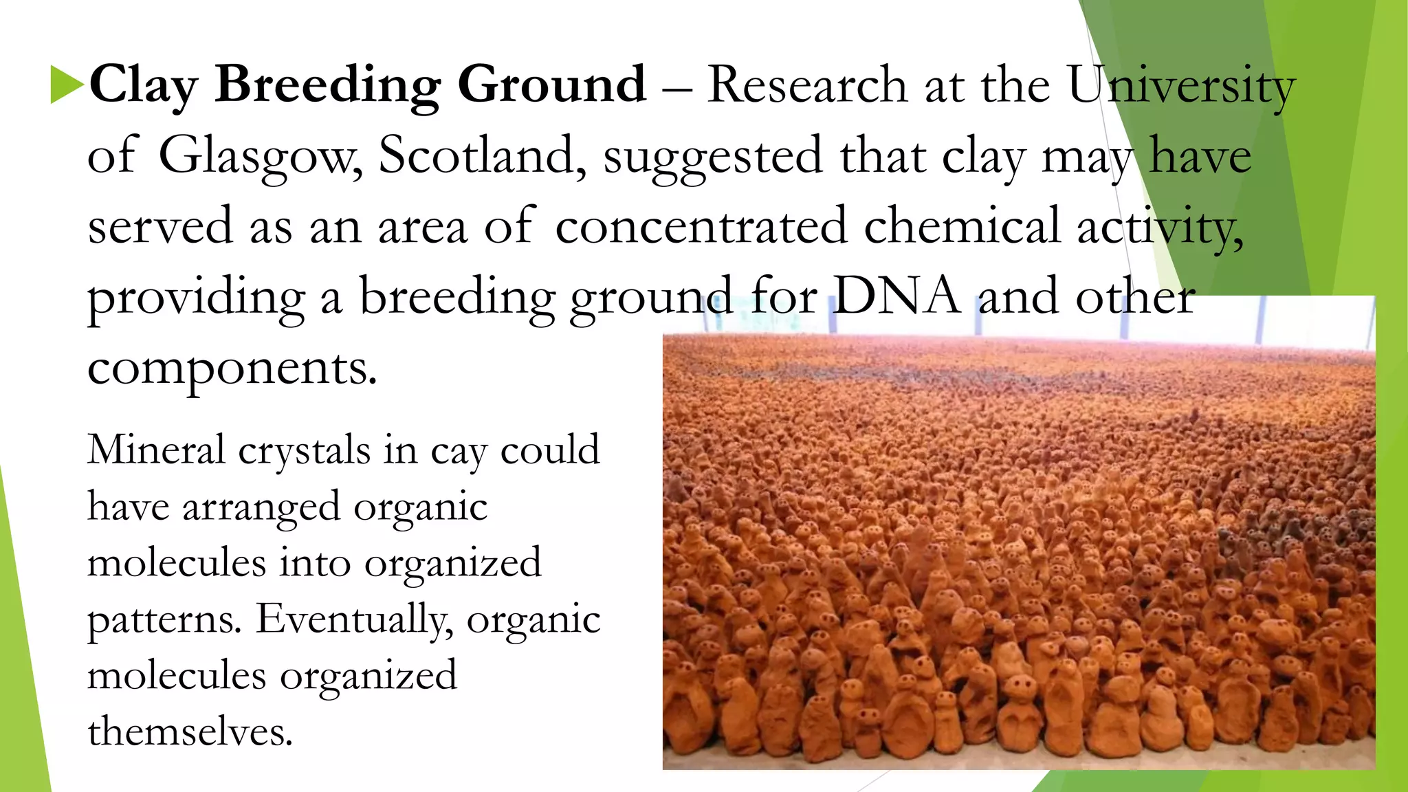 Clay Breeding Ground – Research at the University
of Glasgow, Scotland, suggested that clay may have
served as an area of concentrated chemical activity,
providing a breeding ground for DNA and other
components.
Mineral crystals in cay could
have arranged organic
molecules into organized
patterns. Eventually, organic
molecules organized
themselves.
 