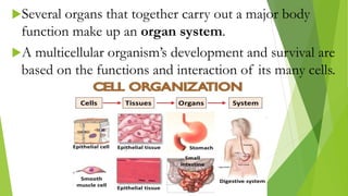 Introduction to Life Science and The Theories on the Origin of Life | PDF