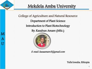 M
A
U
Mekdela Amba University
College of Agriculture and Natural Resource
Department of Plant Science
Introduction to Plant Biotechnology
By: Kasahun Amare (MSc.)
E-mail: kasaamare5@gmail.com
Tullu’awalia, Ethiopia
1
 