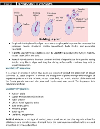 CBSE - Grade 12 - Science - Biology - Chapter -1 - Reproduction in ...