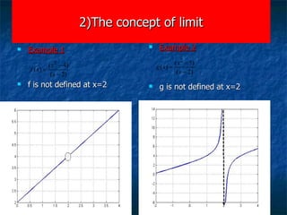 2)The concept of limit Example 1 f is not defined at x=2 Example 2 g is not defined at x=2 