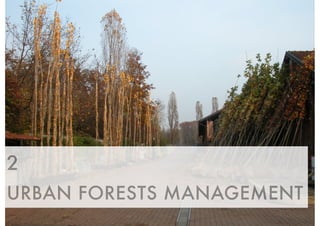 2 
URBAN FORESTS MANAGEMENT 
 