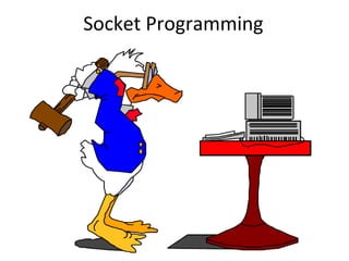 Socket Programming
 