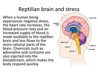 CHAPTER-2.1-BRAIiiiiiiN-STRUCTURE-1.pptx