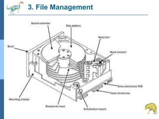 3. File Management
 