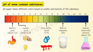 Chapter-2-Acids-Bases SCIENCE BOOK BY YOUTUBE | PDF