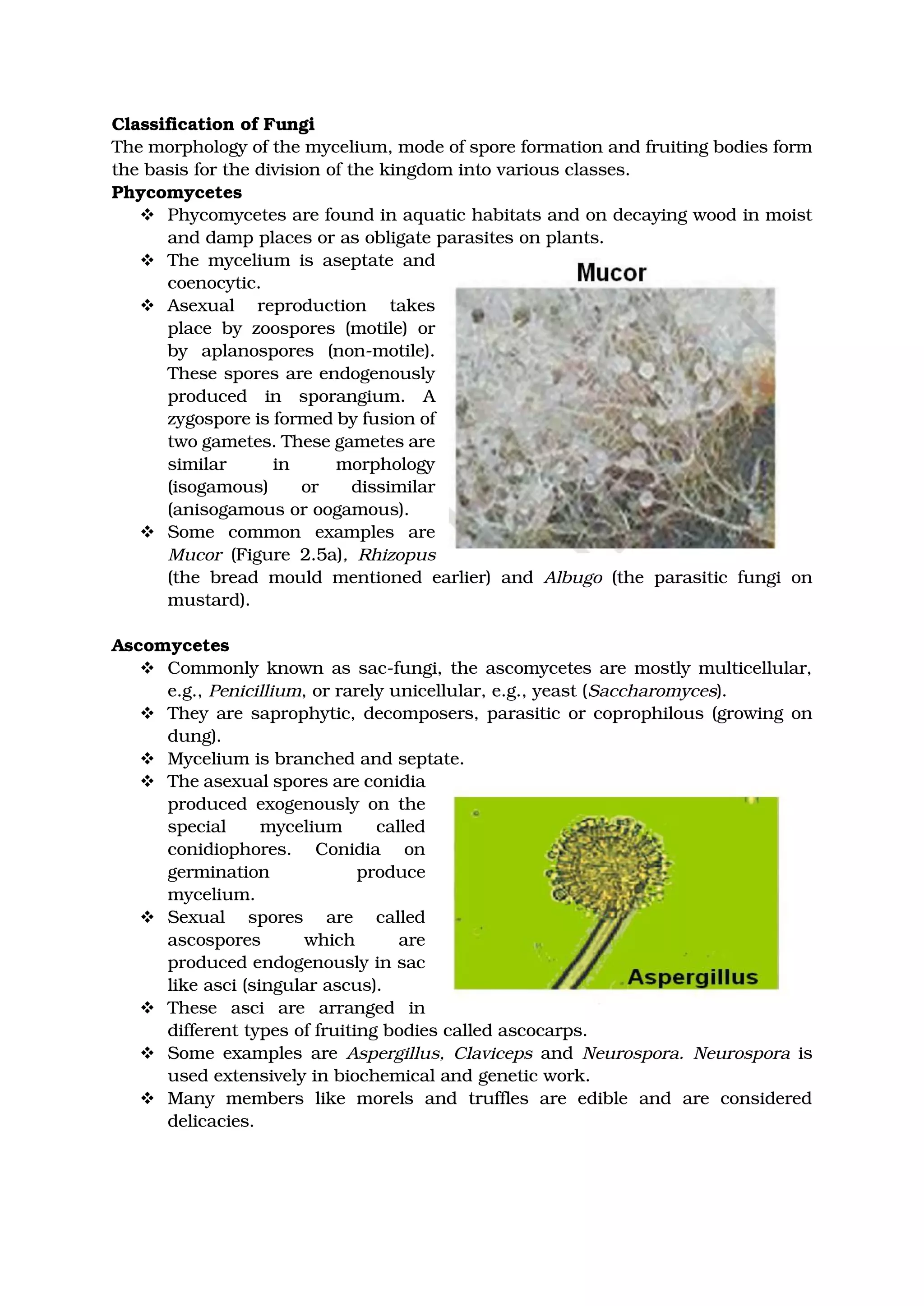 Classification of Fungi
The morphology of the mycelium, mode of spore formation and fruiting bodies form
the basis for the division of the kingdom into various classes.
Phycomycetes
❖ Phycomycetes are found in aquatic habitats and on decaying wood in moist
and damp places or as obligate parasites on plants.
❖ The mycelium is aseptate and
coenocytic.
❖ Asexual reproduction takes
place by zoospores (motile) or
by aplanospores (non-motile).
These spores are endogenously
produced in sporangium. A
zygospore is formed by fusion of
two gametes. These gametes are
similar in morphology
(isogamous) or dissimilar
(anisogamous or oogamous).
❖ Some common examples are
Mucor (Figure 2.5a), Rhizopus
(the bread mould mentioned earlier) and Albugo (the parasitic fungi on
mustard).
Ascomycetes
❖ Commonly known as sac-fungi, the ascomycetes are mostly multicellular,
e.g., Penicillium, or rarely unicellular, e.g., yeast (Saccharomyces).
❖ They are saprophytic, decomposers, parasitic or coprophilous (growing on
dung).
❖ Mycelium is branched and septate.
❖ The asexual spores are conidia
produced exogenously on the
special mycelium called
conidiophores. Conidia on
germination produce
mycelium.
❖ Sexual spores are called
ascospores which are
produced endogenously in sac
like asci (singular ascus).
❖ These asci are arranged in
different types of fruiting bodies called ascocarps.
❖ Some examples are Aspergillus, Claviceps and Neurospora. Neurospora is
used extensively in biochemical and genetic work.
❖ Many members like morels and truffles are edible and are considered
delicacies.
 