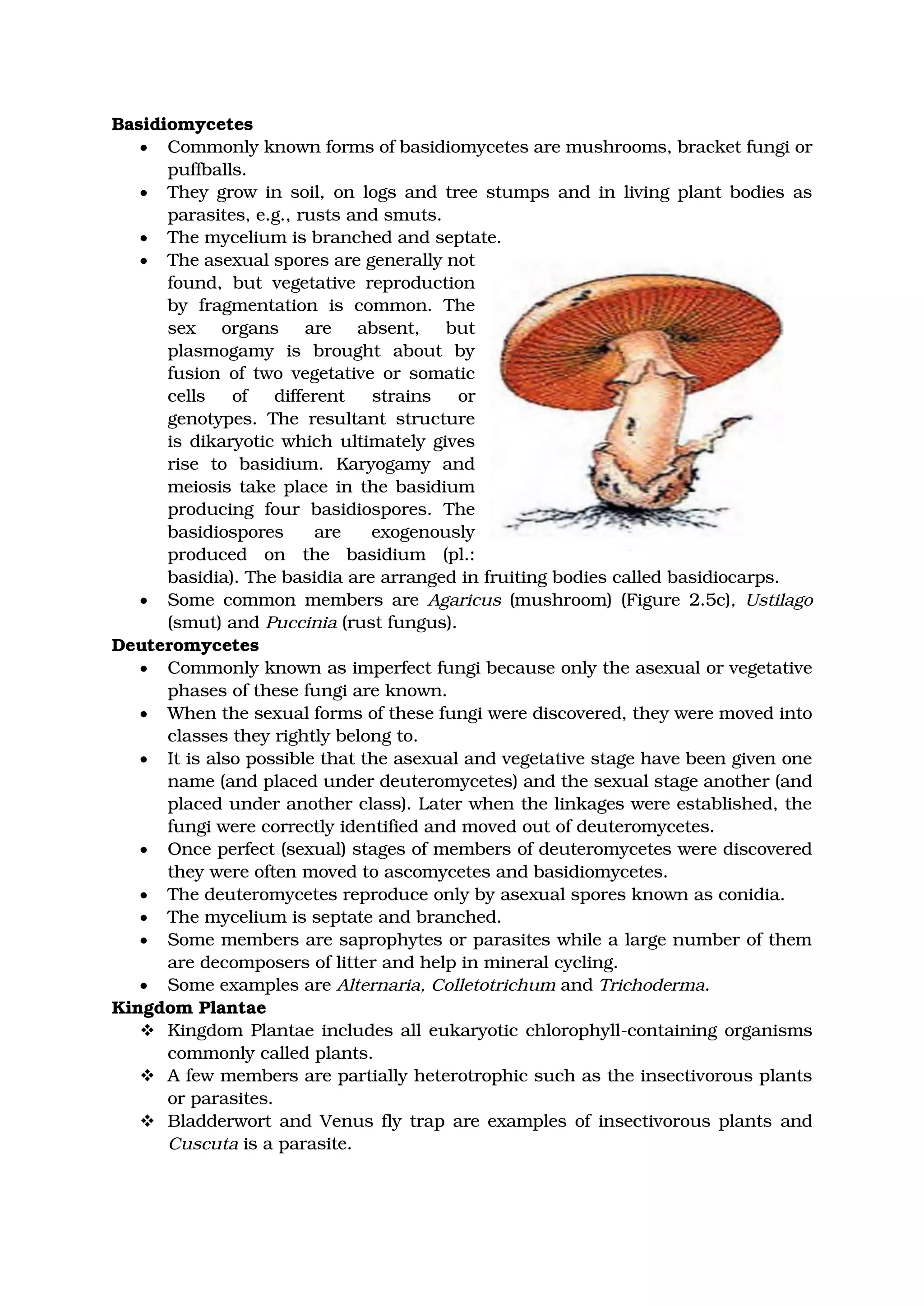 Basidiomycetes
• Commonly known forms of basidiomycetes are mushrooms, bracket fungi or
puffballs.
• They grow in soil, on logs and tree stumps and in living plant bodies as
parasites, e.g., rusts and smuts.
• The mycelium is branched and septate.
• The asexual spores are generally not
found, but vegetative reproduction
by fragmentation is common. The
sex organs are absent, but
plasmogamy is brought about by
fusion of two vegetative or somatic
cells of different strains or
genotypes. The resultant structure
is dikaryotic which ultimately gives
rise to basidium. Karyogamy and
meiosis take place in the basidium
producing four basidiospores. The
basidiospores are exogenously
produced on the basidium (pl.:
basidia). The basidia are arranged in fruiting bodies called basidiocarps.
• Some common members are Agaricus (mushroom) (Figure 2.5c), Ustilago
(smut) and Puccinia (rust fungus).
Deuteromycetes
• Commonly known as imperfect fungi because only the asexual or vegetative
phases of these fungi are known.
• When the sexual forms of these fungi were discovered, they were moved into
classes they rightly belong to.
• It is also possible that the asexual and vegetative stage have been given one
name (and placed under deuteromycetes) and the sexual stage another (and
placed under another class). Later when the linkages were established, the
fungi were correctly identified and moved out of deuteromycetes.
• Once perfect (sexual) stages of members of deuteromycetes were discovered
they were often moved to ascomycetes and basidiomycetes.
• The deuteromycetes reproduce only by asexual spores known as conidia.
• The mycelium is septate and branched.
• Some members are saprophytes or parasites while a large number of them
are decomposers of litter and help in mineral cycling.
• Some examples are Alternaria, Colletotrichum and Trichoderma.
Kingdom Plantae
❖ Kingdom Plantae includes all eukaryotic chlorophyll-containing organisms
commonly called plants.
❖ A few members are partially heterotrophic such as the insectivorous plants
or parasites.
❖ Bladderwort and Venus fly trap are examples of insectivorous plants and
Cuscuta is a parasite.
 