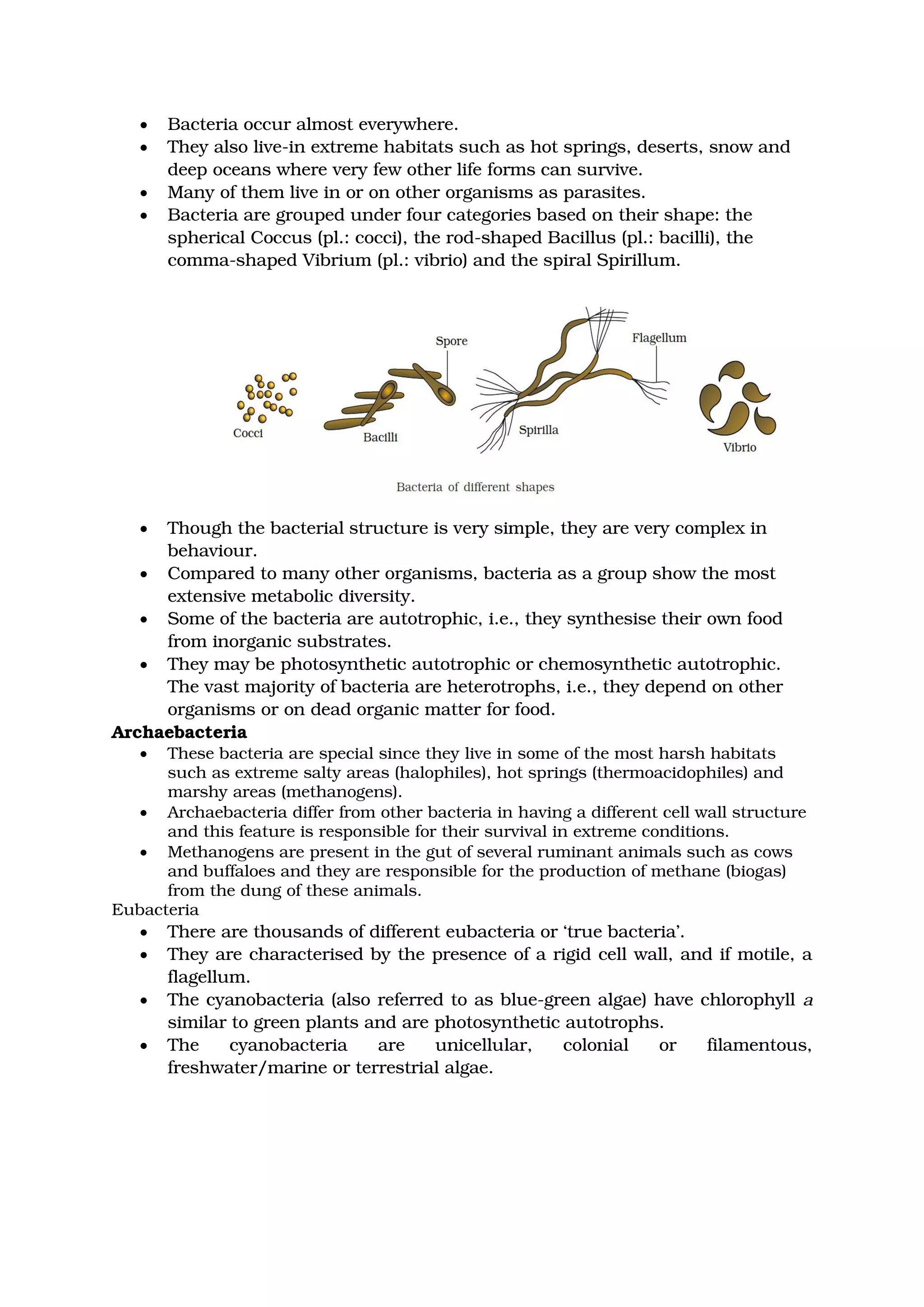 • Bacteria occur almost everywhere.
• They also live-in extreme habitats such as hot springs, deserts, snow and
deep oceans where very few other life forms can survive.
• Many of them live in or on other organisms as parasites.
• Bacteria are grouped under four categories based on their shape: the
spherical Coccus (pl.: cocci), the rod-shaped Bacillus (pl.: bacilli), the
comma-shaped Vibrium (pl.: vibrio) and the spiral Spirillum.
• Though the bacterial structure is very simple, they are very complex in
behaviour.
• Compared to many other organisms, bacteria as a group show the most
extensive metabolic diversity.
• Some of the bacteria are autotrophic, i.e., they synthesise their own food
from inorganic substrates.
• They may be photosynthetic autotrophic or chemosynthetic autotrophic.
The vast majority of bacteria are heterotrophs, i.e., they depend on other
organisms or on dead organic matter for food.
Archaebacteria
• These bacteria are special since they live in some of the most harsh habitats
such as extreme salty areas (halophiles), hot springs (thermoacidophiles) and
marshy areas (methanogens).
• Archaebacteria differ from other bacteria in having a different cell wall structure
and this feature is responsible for their survival in extreme conditions.
• Methanogens are present in the gut of several ruminant animals such as cows
and buffaloes and they are responsible for the production of methane (biogas)
from the dung of these animals.
Eubacteria
• There are thousands of different eubacteria or ‘true bacteria’.
• They are characterised by the presence of a rigid cell wall, and if motile, a
flagellum.
• The cyanobacteria (also referred to as blue-green algae) have chlorophyll a
similar to green plants and are photosynthetic autotrophs.
• The cyanobacteria are unicellular, colonial or filamentous,
freshwater/marine or terrestrial algae.
 