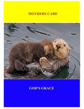 MOTHERS CARE
GOD'S GRACE
 