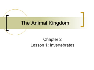 The Animal Kingdom Chapter 2 Lesson 1: Invertebrates 