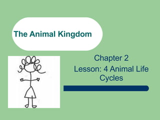 The Animal Kingdom Chapter 2 Lesson: 4 Animal Life Cycles 