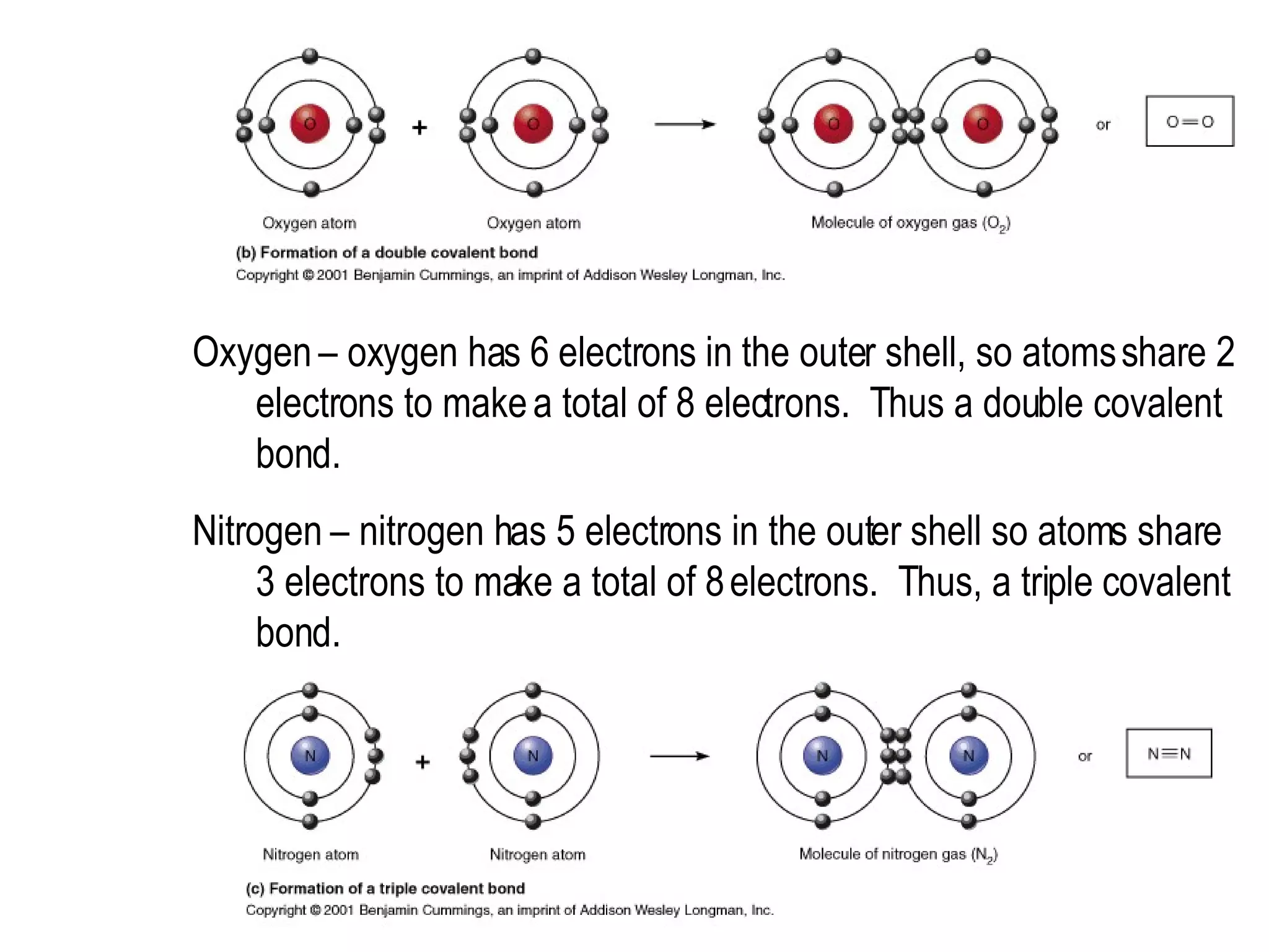 Oxygen – oxygen has 6 electrons in the outer shell, so atoms share 2 electrons to make a total of 8 electrons.  Thus a double covalent bond.  Nitrogen – nitrogen has 5 electrons in the outer shell so atoms share 3 electrons to make a total of 8 electrons.  Thus, a triple covalent bond. 