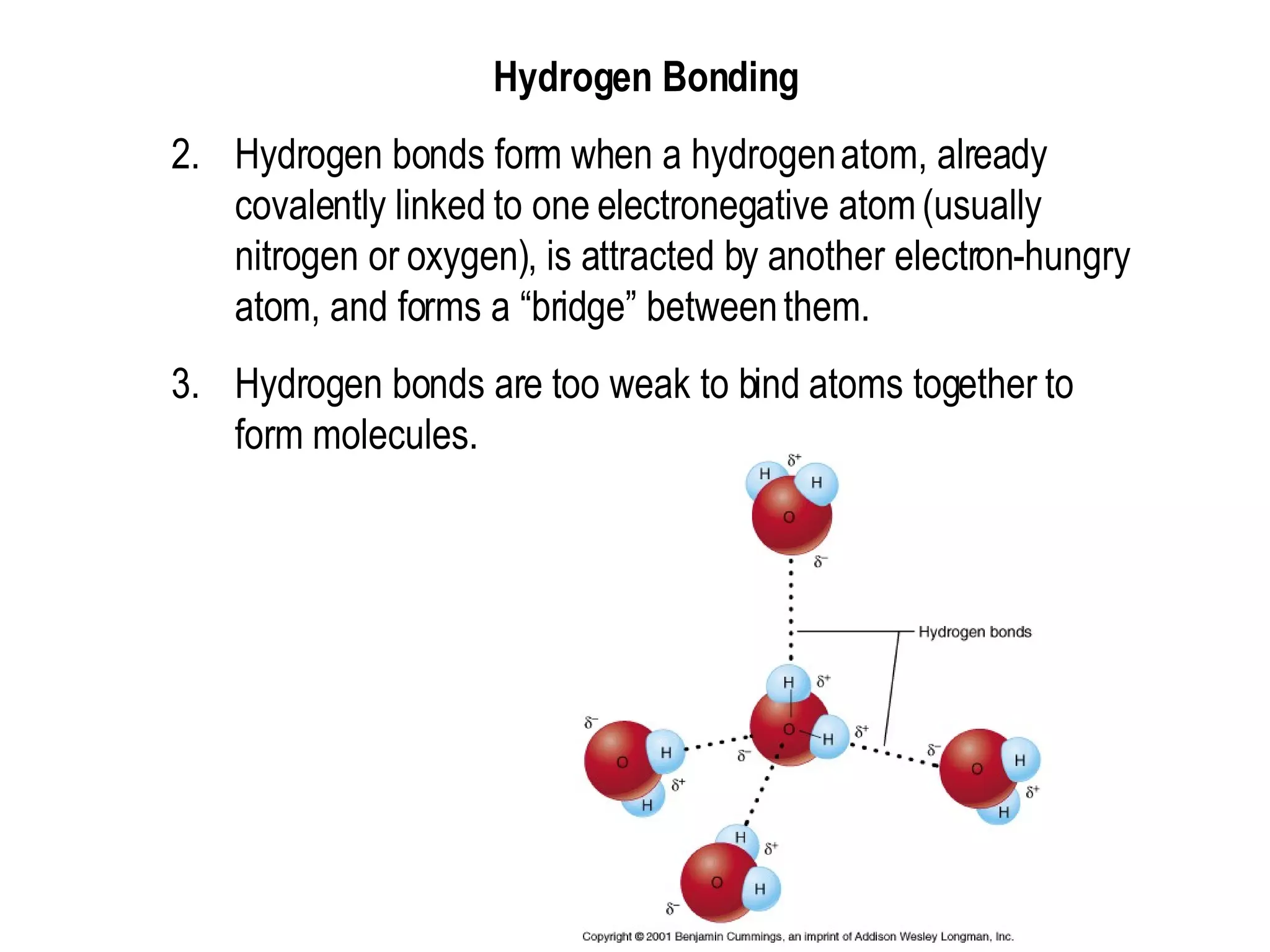 Hydrogen Bonding  Hydrogen bonds form when a hydrogen atom, already covalently linked to one electronegative atom (usually nitrogen or oxygen), is attracted by another electron-hungry atom, and forms a “bridge” between them.  Hydrogen bonds are too weak to bind atoms together to form molecules.  
