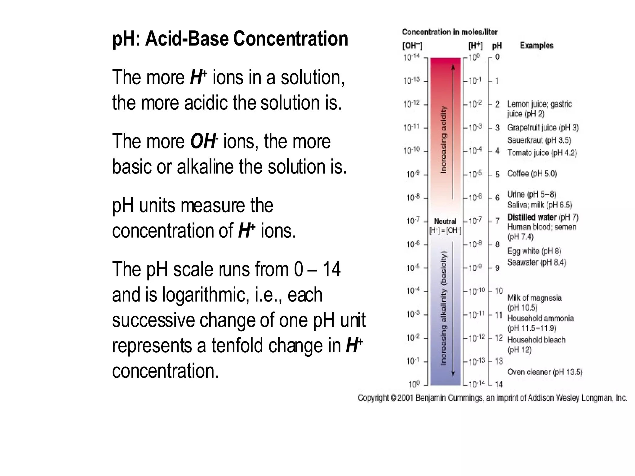 pH: Acid-Base Concentration  The more  H +  ions in a solution, the more acidic the solution is.  The more  OH -  ions, the more basic or alkaline the solution is.  pH units measure the concentration of  H +  ions.  The pH scale runs from 0 – 14 and is logarithmic, i.e., each successive change of one pH unit represents a tenfold change in  H +  concentration. 