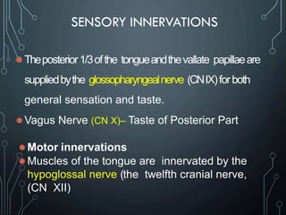 SENSORY INNERVATIONS
 Theposterior1/3ofthe tongueandthevallate papillaeare
suppliedbythe glossopharyngealnerve (CNIX)forboth
general sensation and taste.
 Vagus Nerve (CN X)– Taste of Posterior Part
 Motor innervations
 Muscles of the tongue are innervated by the
hypoglossal nerve (the twelfth cranial nerve,
(CN XII)
 