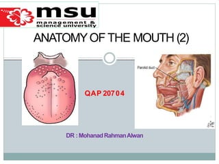DR :MohanadRahmanAlwan
ANATOMYOF THE MOUTH (2)
QAP 20704
 