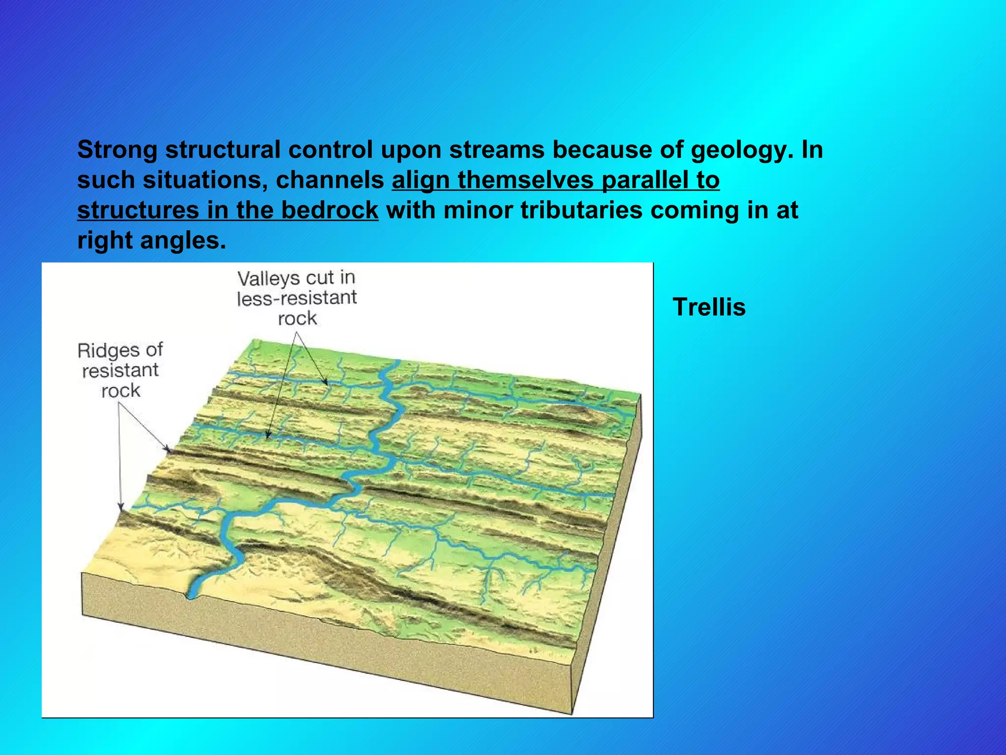 Trellis   Strong structural control upon streams because of geology. In such situations, channels  align themselves parallel to structures in the bedrock  with minor tributaries coming in at right angles.  