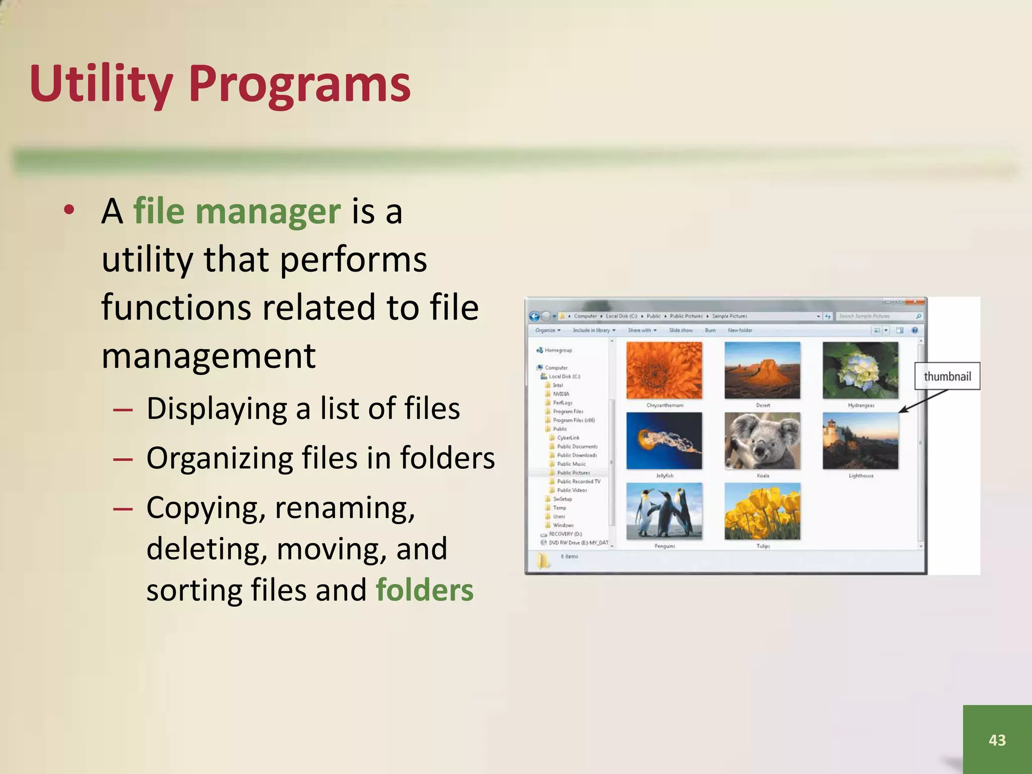 Utility Programs
• A file manager is a
utility that performs
functions related to file
management
– Displaying a list of files
– Organizing files in folders
– Copying, renaming,
deleting, moving, and
sorting files and folders

43

 