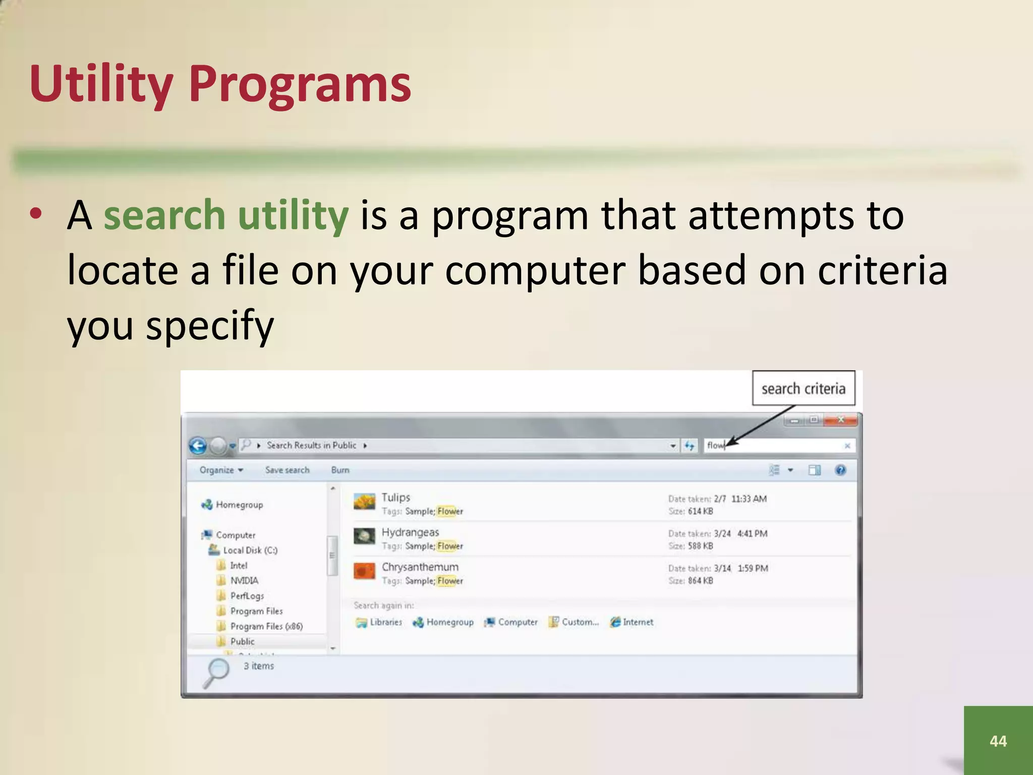 Utility Programs
• A search utility is a program that attempts to
locate a file on your computer based on criteria
you specify

44

 