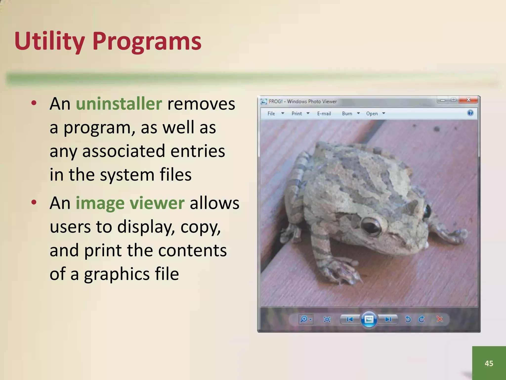 Utility Programs
• An uninstaller removes
a program, as well as
any associated entries
in the system files
• An image viewer allows
users to display, copy,
and print the contents
of a graphics file

45

 