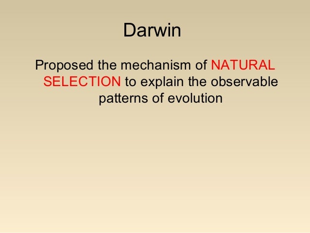 Explain The Theory Of Natural Selection As Proposed By Darwin Explain The Theory Of Natural Selection As Proposed By Darwin
