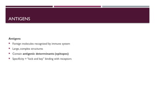 Comprehensive Overview of the Lymphatic and Immune Systems: Structure ...