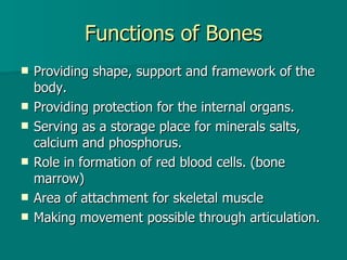 Bone Roles Chapter 21 Skeletal | PPT