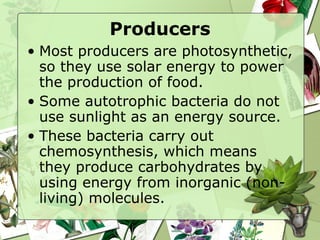 Chapter 22 Ecosystems and the Biosphere | PPT