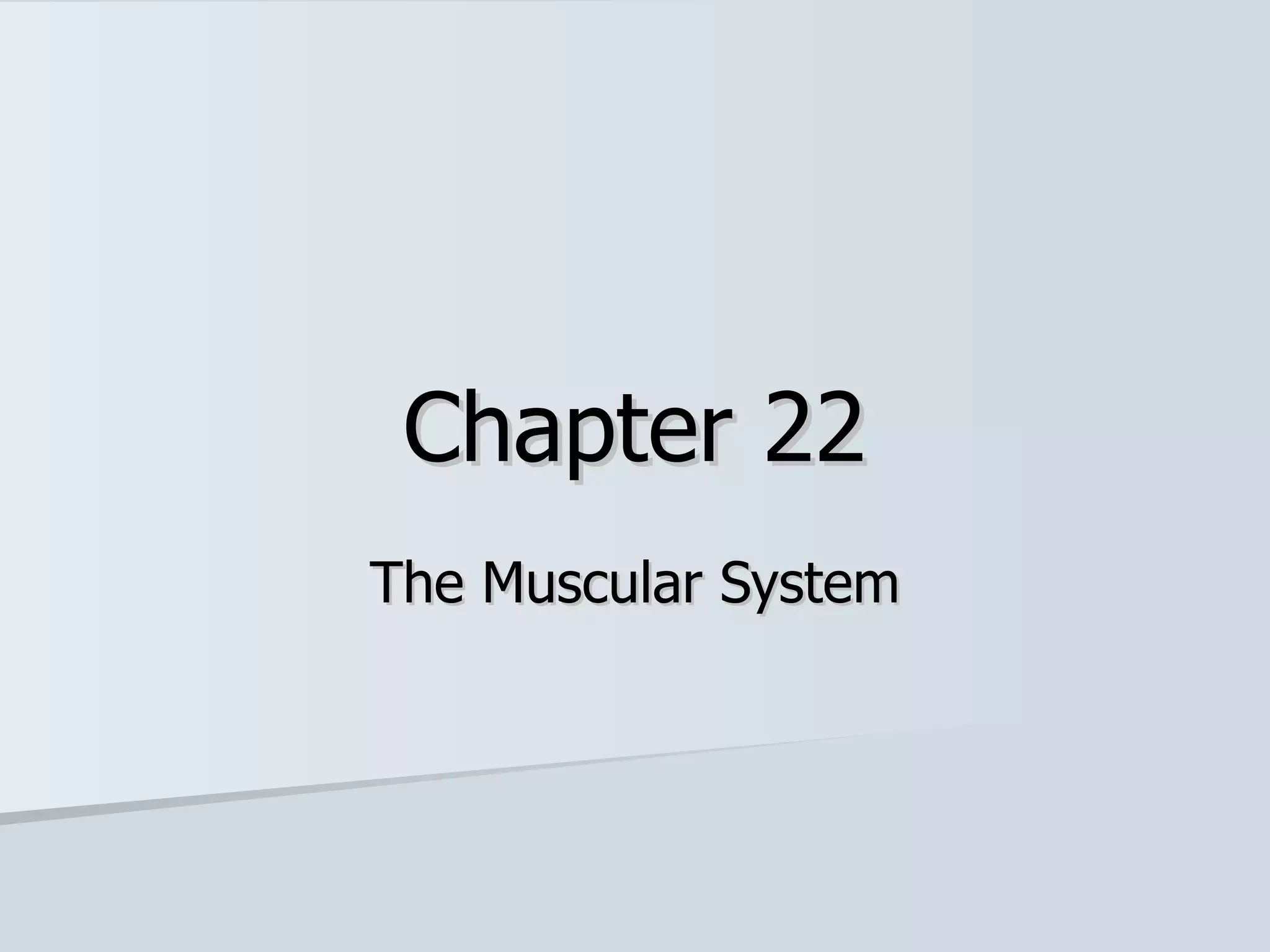 Chapter 22 Muscular System | PPT