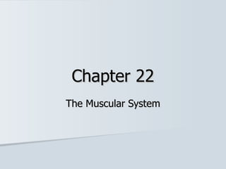 Chapter 22 The Muscular System 