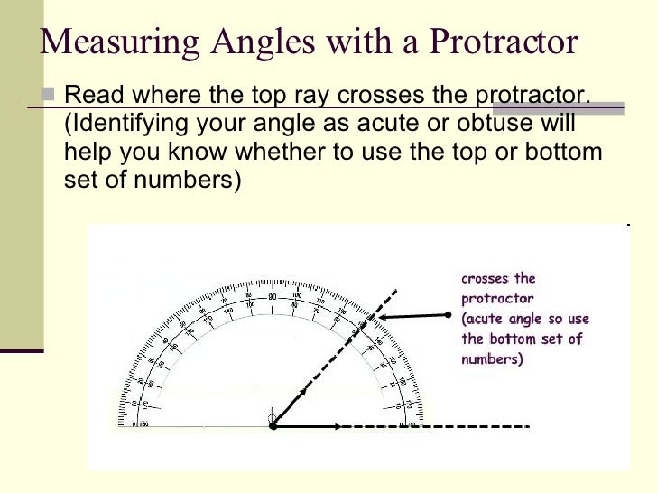 Geometry Using a Protractor 5th Grade