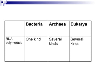 Several kinds Several kinds One kind RNA polymerase Eukarya Archaea Bacteria 