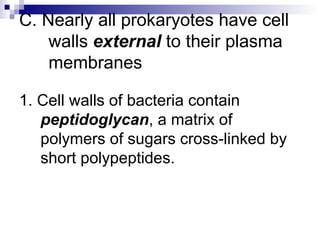 C. Nearly all prokaryotes have cell walls  external  to their plasma membranes 1. Cell walls of bacteria contain  peptidoglycan , a matrix of polymers of sugars cross-linked by short polypeptides. 