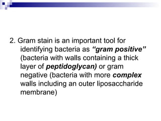 2. Gram stain is an important tool for identifying bacteria as  “gram positive”  (bacteria with walls containing a thick layer of  peptidoglycan)  or gram negative (bacteria with more  complex  walls including an outer liposaccharide membrane) 