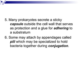 5. Many prokaryotes secrete a sticky  capsule  outside the cell wall that serves as protection and a glue for  adhering  to a substratum 6. Some may attach by appendages called  pili  which may be specialized to hold bacteria together during  conjugation .  