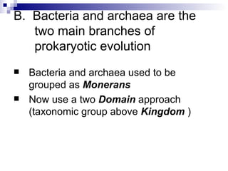 B.  Bacteria and archaea are the two main branches of prokaryotic evolution Bacteria and archaea used to be grouped as  Monerans Now use a two  Domain  approach (taxonomic group above  Kingdom  ) 