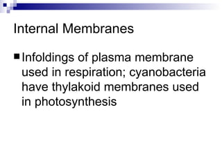 Internal Membranes Infoldings of plasma membrane used in respiration; cyanobacteria have thylakoid membranes used in photosynthesis 