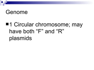 Genome 1 Circular chromosome; may have both “F” and “R” plasmids 